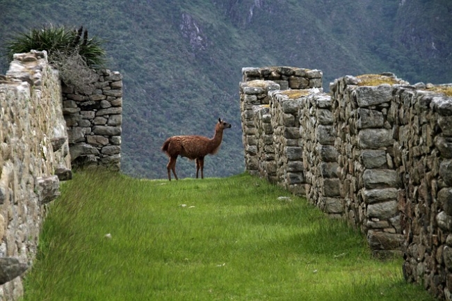 Cuzco, Valle Sagrado y Machu Picchu para personas con movilidad limitada